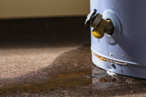 Best 24-hour water damage restoration  in Cheney, WA
