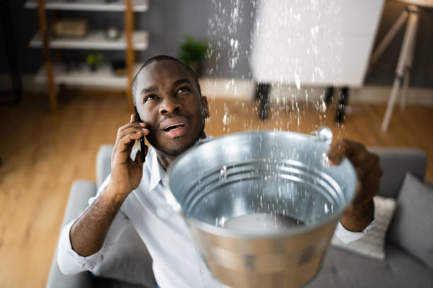 Best Basement water damage restoration  in Cheney, WA