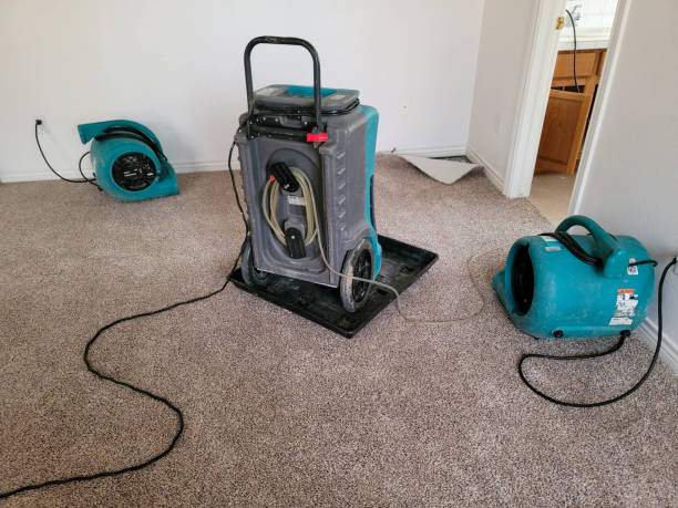 Best Water damage restoration near me  in Cheney, WA