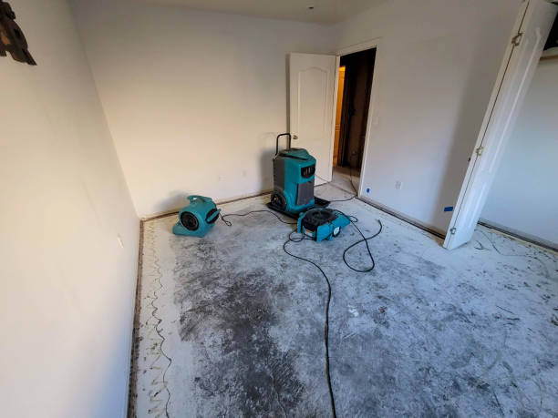 Best Water damage restoration specialists  in Cheney, WA