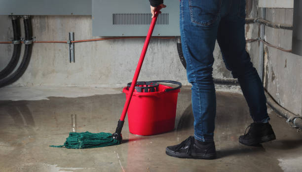 Best Fire Damage Restoration  in Cheney, WA