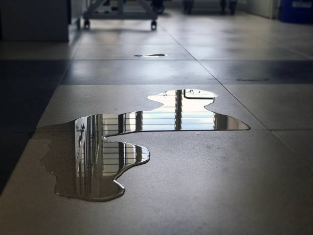 Best Water damage restoration near me  in Cheney, WA