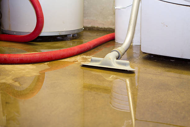 Best 24-hour water damage restoration  in Cheney, WA