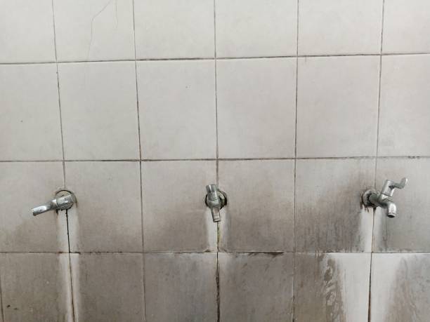 Best Mold removal after water damage  in Cheney, WA