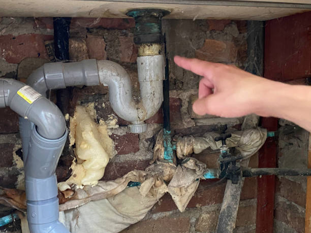 Best Water damage contractors near me  in Cheney, WA
