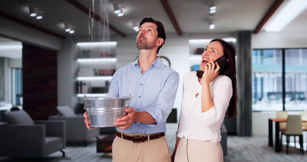 Best Basement water damage restoration  in Cheney, WA