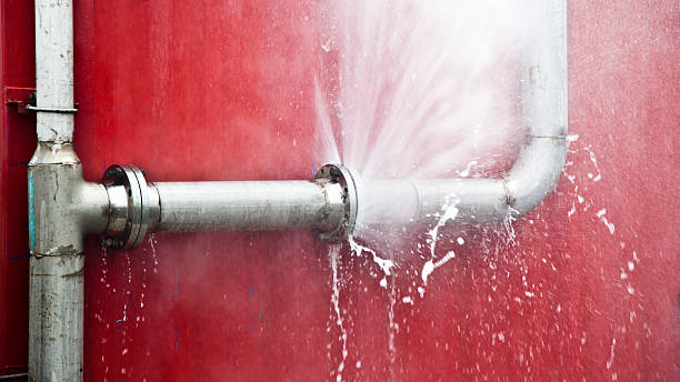 Best Water damage restoration experts  in Cheney, WA